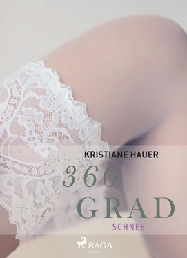 Kristiane Hauer 360 Grad - Schnee (Erotische Geschichten, Band 2) обложка книги