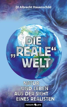 DI Albrecht Hauenschild Die reale Welt обложка книги