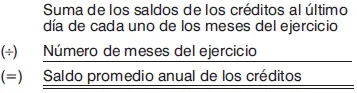 2 Datos para determinar el saldo promedio anual de los créditos 3 - фото 71