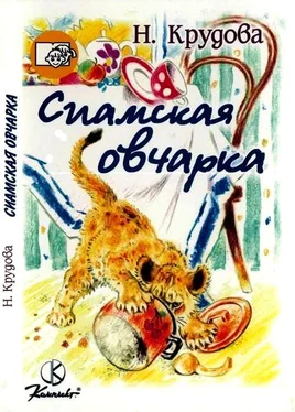 Наталья Крудова Сиамская овчарка обложка книги