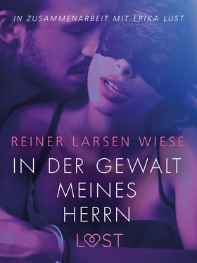 Reiner Larsen Wiese In der Gewalt meines Herrn: Erika Lust-Erotik обложка книги