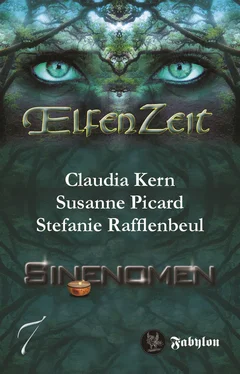 Susanne Picard Elfenzeit 7: Sinenomen обложка книги