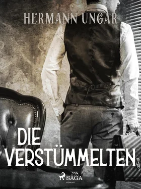 Hermann Ungar Die Verstümmelten обложка книги
