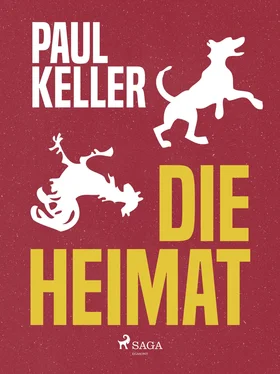 Paul Keller Die Heimat обложка книги