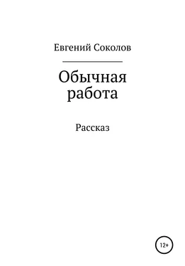 Евгений Соколов Обычная работа обложка книги