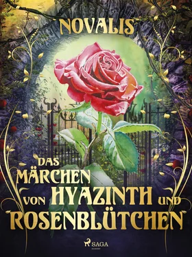 Novalis Novalis Das Märchen von Hyazinth und Rosenblütchen обложка книги