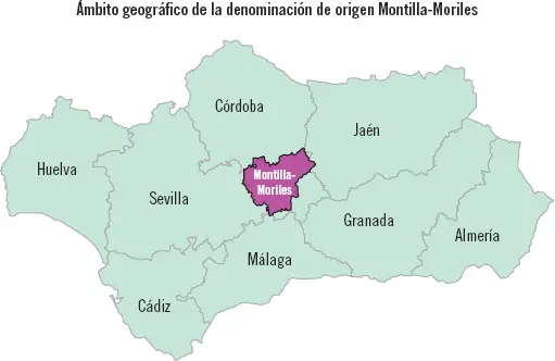 El nombre de Montilla como representante de una comarca productora de vinos - фото 25