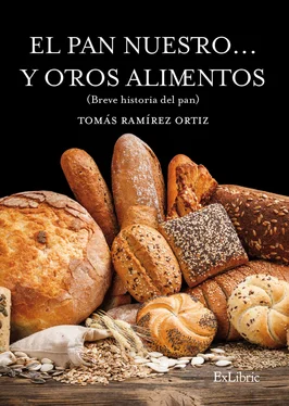 Tomás Ramírez Ortiz El pan nuestro... y otros alimentos обложка книги