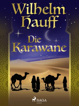Wilhelm Hauff Die Karawane обложка книги
