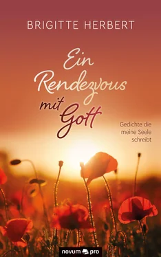 Brigitte Herbert Ein Rendezvous mit Gott обложка книги