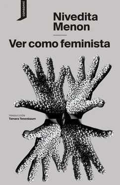 Nivedita Menon Ver como feminista обложка книги