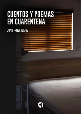 Juan Fritzeromus Cuentos y poemas en cuarentena обложка книги