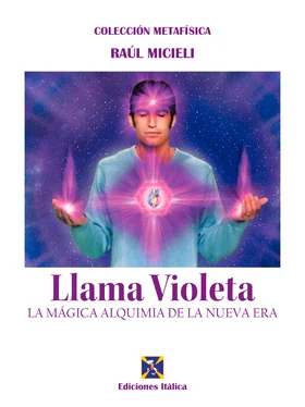 Raúl Micieli Llama Violeta обложка книги