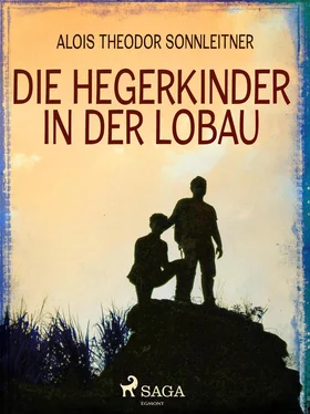 Alois Theodor Sonnleitner Die Hegerkinder in der Lobau обложка книги