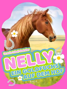 Ursula Isbel-Dotzler Nelly - Ein Goldfuchs auf dem Hof обложка книги