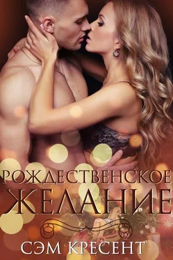 Сем Крезент Рождественское желание обложка книги