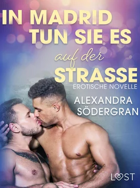 Alexandra Södergran In Madrid tun sie es auf der Straße: Gay-Erotik-Story обложка книги