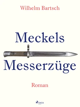 Wilhelm Bartsch Meckels Messerzüge обложка книги