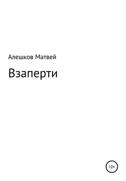 Матвей Алешков Взаперти обложка книги