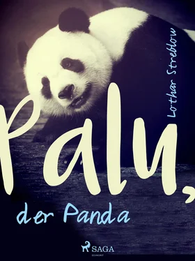 Lothar Streblow Palu, der Panda обложка книги