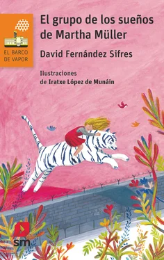 David Fernández Sifres El grupo de los sueños de Martha Müller обложка книги