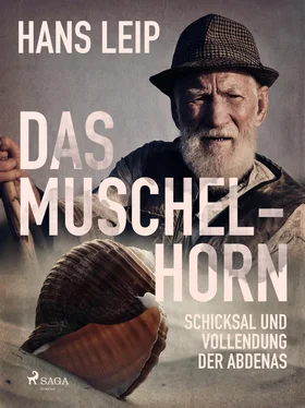 Hans Leip Das Muschelhorn обложка книги