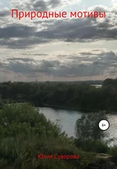 Юлия Суворова - Природные мотивы