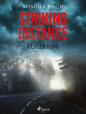 Mischa Bach Striking Distance - Kurzkrimi обложка книги