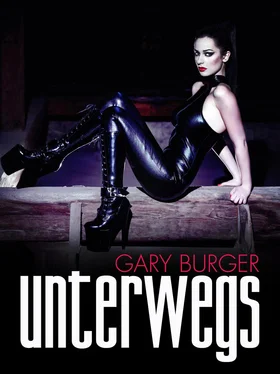 Gary Burger Unterwegs обложка книги