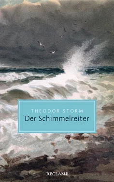 Theodor Storm Der Schimmelreiter. Novelle обложка книги