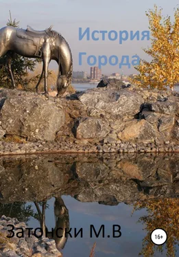 Максим Затонски История города обложка книги
