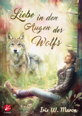 Iris W. Maron Liebe in den Augen des Wolfs обложка книги