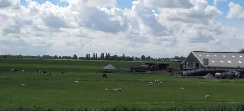 Pradera en explotación ganadera 51 Elección y tipos de praderas Existe una - фото 9
