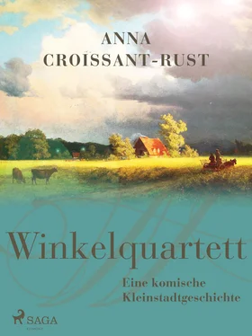 Anna Croissant-Rust Winkelquartett обложка книги