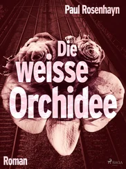 Paul Rosenhayn - Die weiße Orchidee