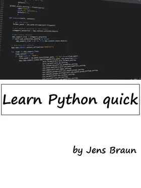 Jens Braun Learn Python quick обложка книги