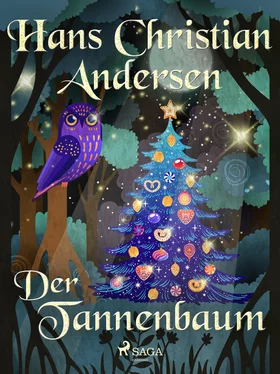 Hans Christian Der Tannenbaum обложка книги