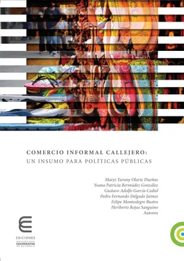 Gustavo Adolfo García Cediel Comercio informal callejero обложка книги