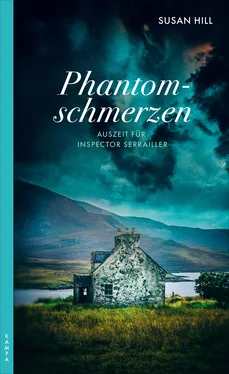 Susan Hill Phantomschmerzen обложка книги