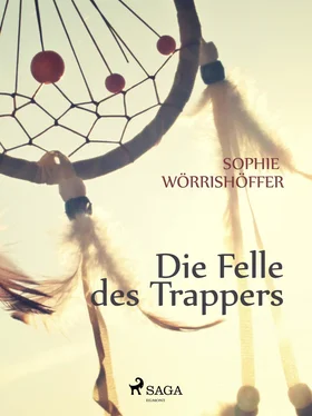 Sophie Wörrishöffer Die Felle des Trappers обложка книги