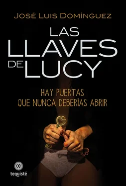 José Luis Domínguez Las llaves de Lucy обложка книги