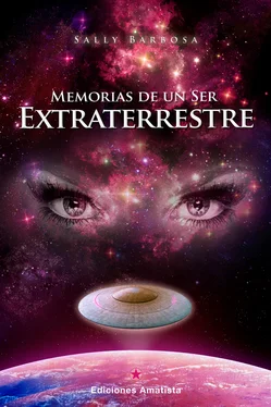 Sally Barbosa Memorias de un ser extraterrestre обложка книги