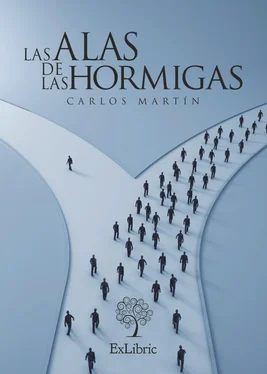 Carlos Martín Las alas de las hormigas обложка книги