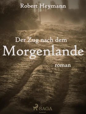 Robert Heymann Der Zug nach dem Morgenlande обложка книги