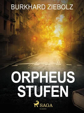 Burkhard Ziebolz Orpheus Stufen - Kriminalroman обложка книги
