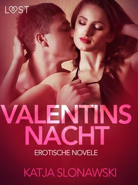 Katja Slonawski Valentinsnacht: Erotische Novelle обложка книги