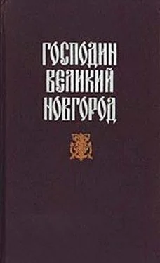 Николай Гейнце Новгородская вольница обложка книги