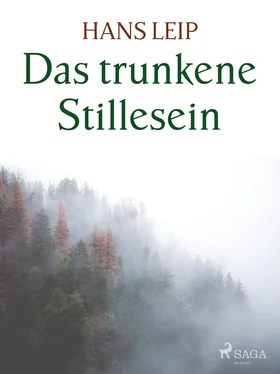 Hans Leip Das trunkene Stillesein обложка книги