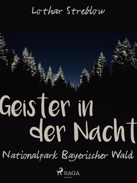 Lothar Streblow Geister in der Nacht. Nationalpark Bayerischer Wald обложка книги