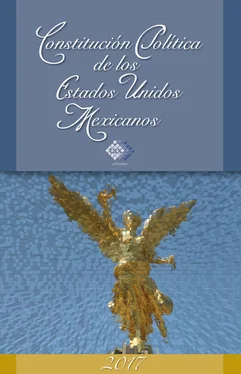 José Pérez Chávez Constitución Política de los Estados Unidos Mexicanos 2017 обложка книги